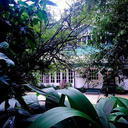 Surrey Bird Sanctuary & Holiday Resort Welimada Εξωτερικό φωτογραφία