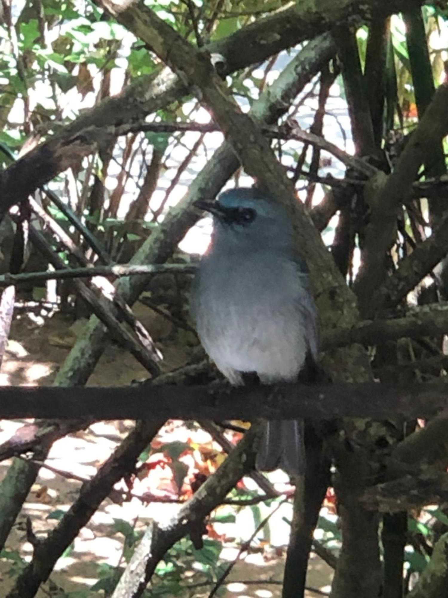Surrey Bird Sanctuary & Holiday Resort Welimada Εξωτερικό φωτογραφία