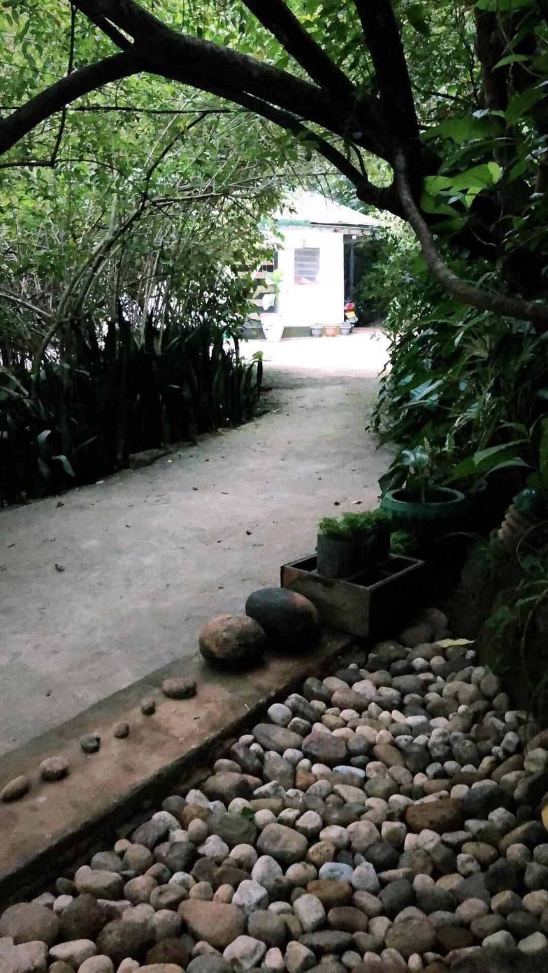 Surrey Bird Sanctuary & Holiday Resort Welimada Εξωτερικό φωτογραφία