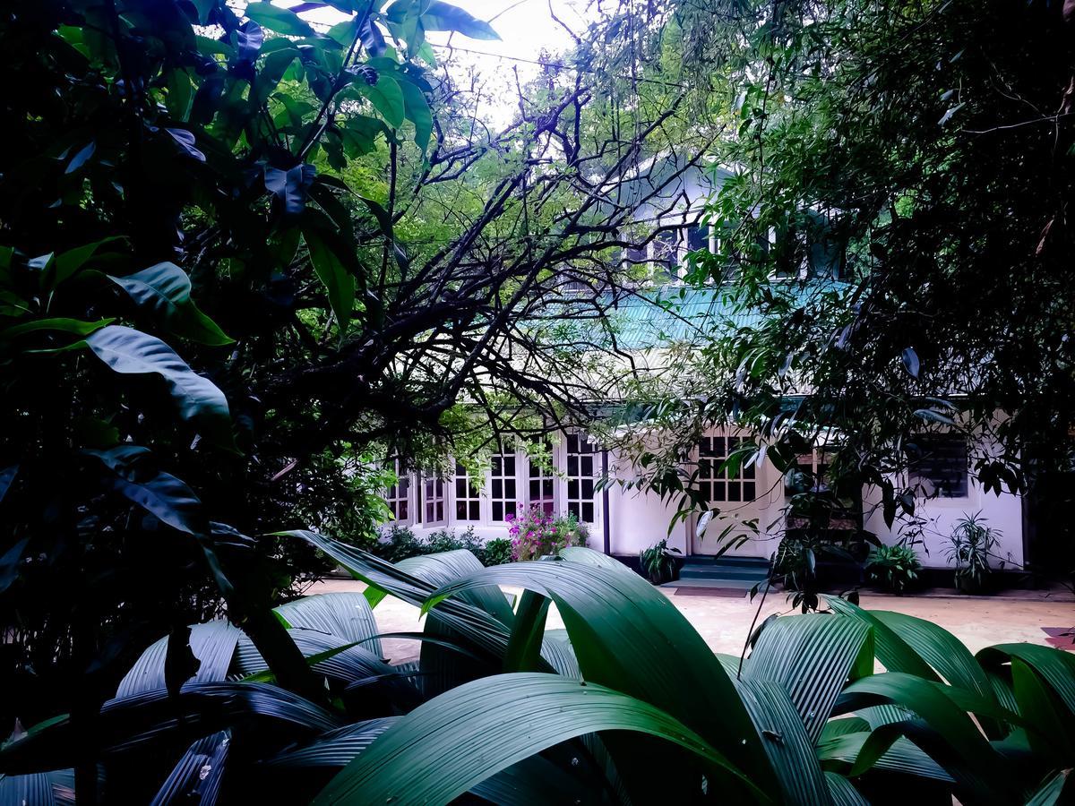 Surrey Bird Sanctuary & Holiday Resort Welimada Εξωτερικό φωτογραφία